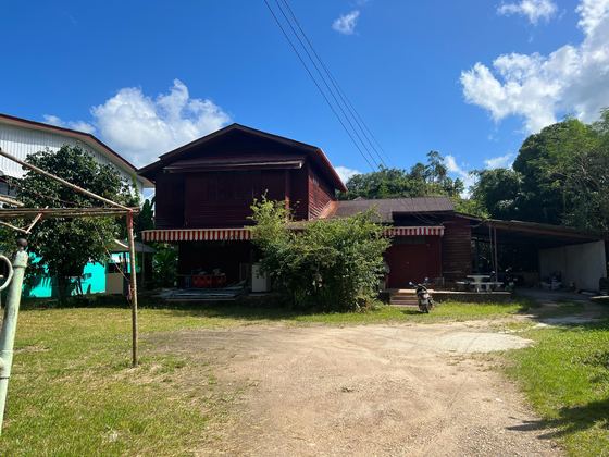 บ้านไม้หลังเดิมก่อนซ่อม มีต้นไม้ขึ้นรก / The old house before repair